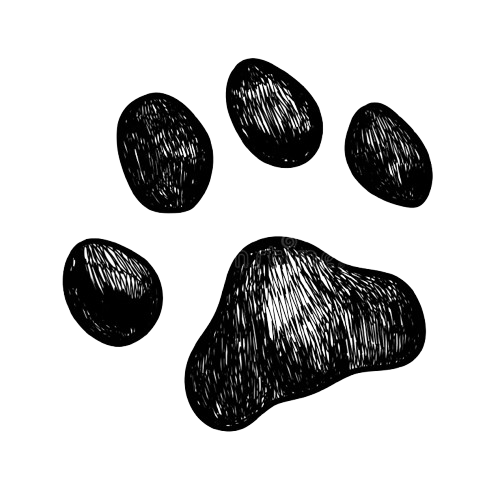 Pet-Paws